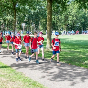 5006903_Wandeldriedaagse
