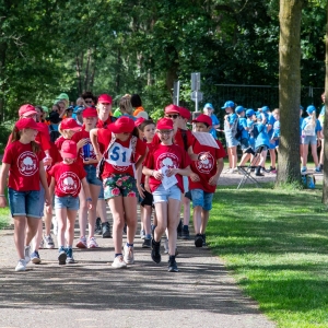 5006978_Wandeldriedaagse