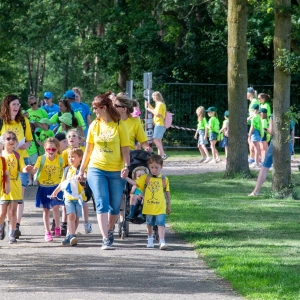 5007060_Wandeldriedaagse