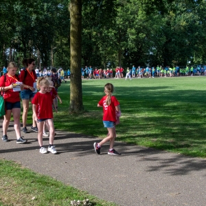 5007118_Wandeldriedaagse
