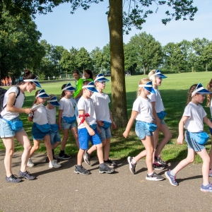 5007188_Wandeldriedaagse