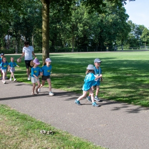 5007275_Wandeldriedaagse