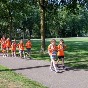 5007283_Wandeldriedaagse
