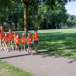 5007284_Wandeldriedaagse