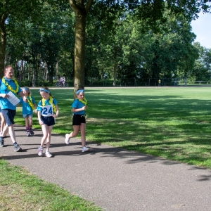 5007292_Wandeldriedaagse