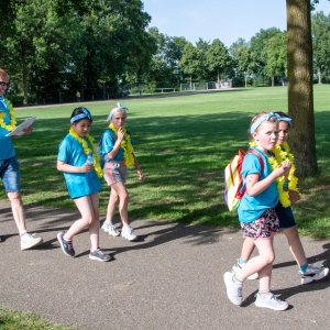 5007297_Wandeldriedaagse