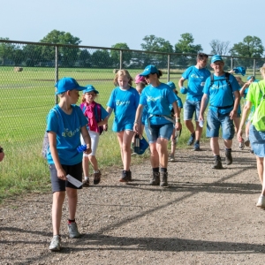 5007307_Wandeldriedaagse