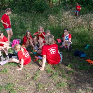 5007317_Wandeldriedaagse