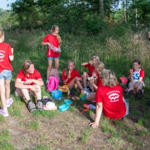 5007318_Wandeldriedaagse