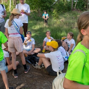 5007319_Wandeldriedaagse