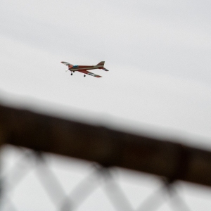 5007331_Wandeldriedaagse