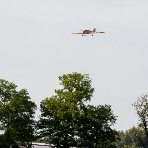 5007332_Wandeldriedaagse