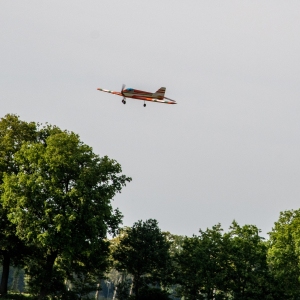 5007333_Wandeldriedaagse