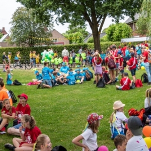 5007633_Wandeldriedaagse-Pano