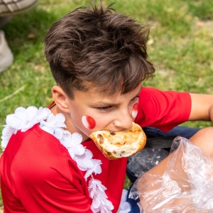 5007641_Wandeldriedaagse