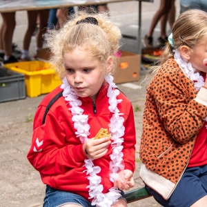 5007642_Wandeldriedaagse