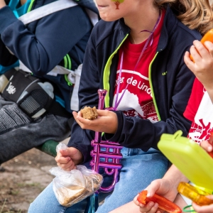 5007643_Wandeldriedaagse