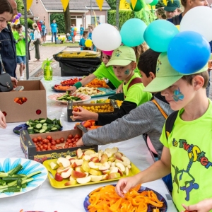 5007648_Wandeldriedaagse