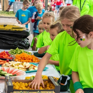 5007649_Wandeldriedaagse