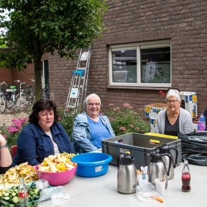 5007656_Wandeldriedaagse