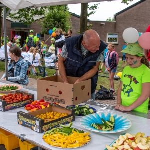 5007663_Wandeldriedaagse