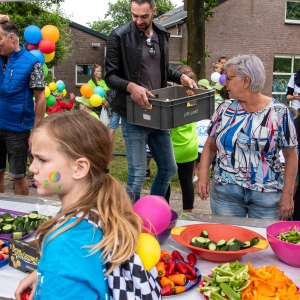 5007664_Wandeldriedaagse