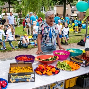 5007666_Wandeldriedaagse