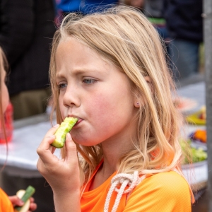 5007667_Wandeldriedaagse
