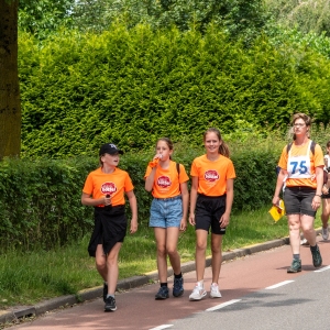 5007691_Wandeldriedaagse
