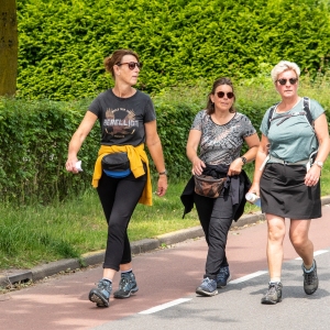 5007693_Wandeldriedaagse